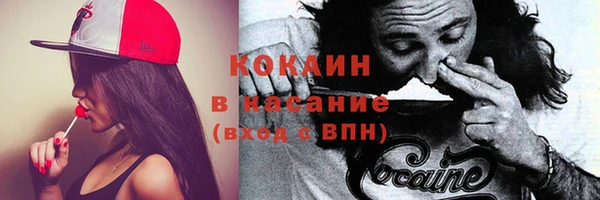 прущие грибы Алексеевка