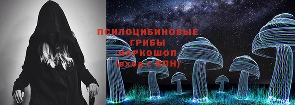 прущие грибы Алексин