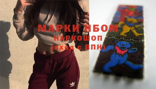 прущие грибы Алексин