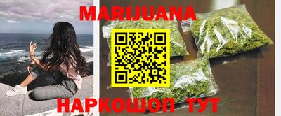 гидра Дубна