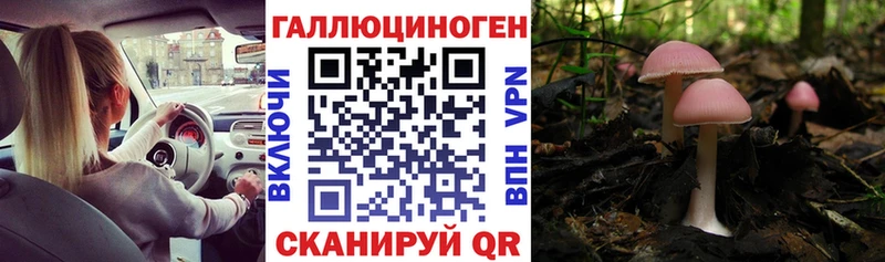 Галлюциногенные грибы Psilocybine cubensis Похвистнево