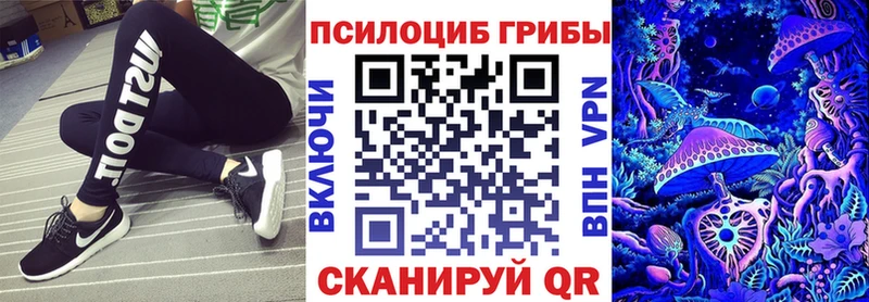 Псилоцибиновые грибы Psilocybe  Похвистнево 