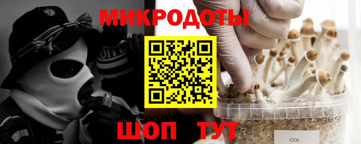 Похвистнево  Галлюциногенные грибы мицелий  Вход с VPN 